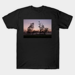 Dusk T-Shirt